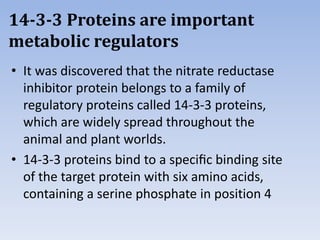 14-3-3 Proteins are important
metabolic regulators
• It was discovered that the nitrate reductase
inhibitor protein belongs to a family of
regulatory proteins called 14-3-3 proteins,
which are widely spread throughout the
animal and plant worlds.
• 14-3-3 proteins bind to a speciﬁc binding site
of the target protein with six amino acids,
containing a serine phosphate in position 4
 