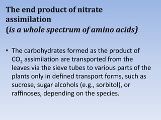 The end product of nitrate
assimilation
(is a whole spectrum of amino acids)
• The carbohydrates formed as the product of
CO2 assimilation are transported from the
leaves via the sieve tubes to various parts of the
plants only in deﬁned transport forms, such as
sucrose, sugar alcohols (e.g., sorbitol), or
rafﬁnoses, depending on the species.
 