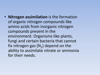 • Nitrogen assimilation is the formation
of organic nitrogen compounds like
amino acids from inorganic nitrogen
compounds present in the
environment. Organisms like plants,
fungi and certain bacteria that cannot
fix nitrogen gas (N2) depend on the
ability to assimilate nitrate or ammonia
for their needs.
 