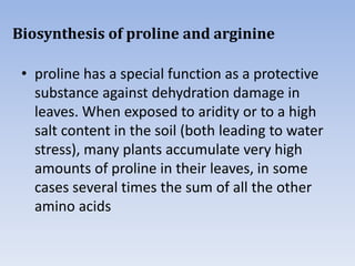 Biosynthesis of proline and arginine
• proline has a special function as a protective
substance against dehydration damage in
leaves. When exposed to aridity or to a high
salt content in the soil (both leading to water
stress), many plants accumulate very high
amounts of proline in their leaves, in some
cases several times the sum of all the other
amino acids
 