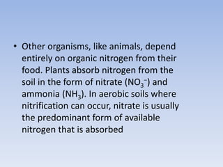 • Other organisms, like animals, depend
entirely on organic nitrogen from their
food. Plants absorb nitrogen from the
soil in the form of nitrate (NO3
−) and
ammonia (NH3). In aerobic soils where
nitrification can occur, nitrate is usually
the predominant form of available
nitrogen that is absorbed
 