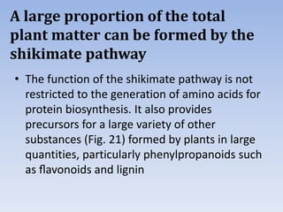 A large proportion of the total
plant matter can be formed by the
shikimate pathway
• The function of the shikimate pathway is not
restricted to the generation of amino acids for
protein biosynthesis. It also provides
precursors for a large variety of other
substances (Fig. 21) formed by plants in large
quantities, particularly phenylpropanoids such
as ﬂavonoids and lignin
 