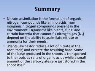 Summary
• Nitrate assimilation is the formation of organic
nitrogen compounds like amino acids from
inorganic nitrogen compounds present in the
environment. Organisms like plants, fungi and
certain bacteria that cannot fix nitrogen gas (N2)
depend on the ability to assimilate nitrate or
ammonia for their needs.
• Plants like castor reduce a lot of nitrate in the
root itself, and excrete the resulting base. Some
of the base produced in the shoots is transported
to the roots as salts of organic acids while a small
amount of the carboxylates are just stored in the
shoot itself
 