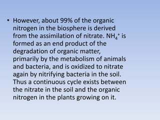 • However, about 99% of the organic
nitrogen in the biosphere is derived
from the assimilation of nitrate. NH4
+ is
formed as an end product of the
degradation of organic matter,
primarily by the metabolism of animals
and bacteria, and is oxidized to nitrate
again by nitrifying bacteria in the soil.
Thus a continuous cycle exists between
the nitrate in the soil and the organic
nitrogen in the plants growing on it.
 