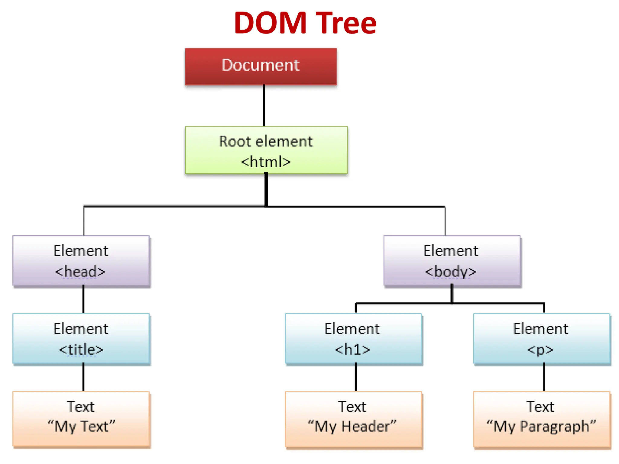 DOM Tree
 