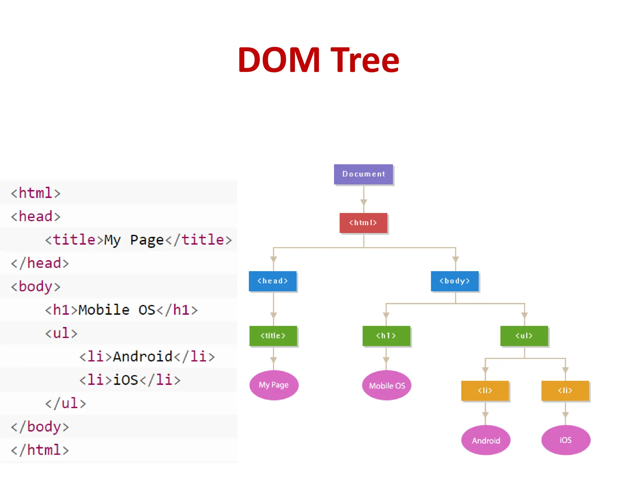 DOM Tree
 
