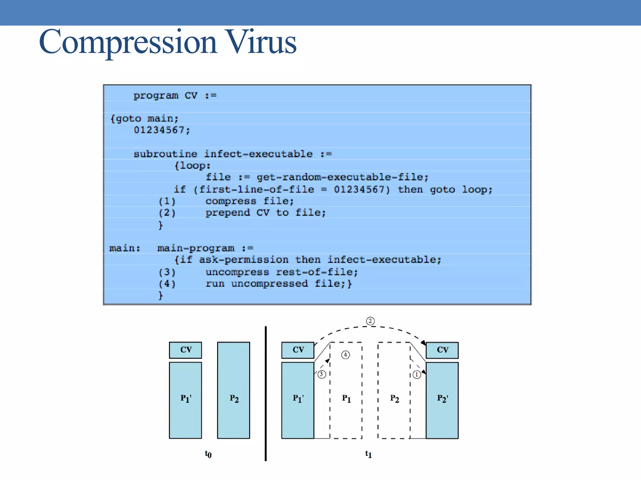 Compression Virus
 