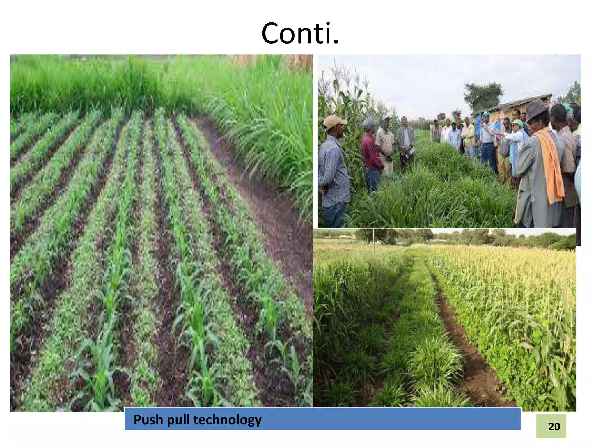 Conti.
Push pull technology 20
 
