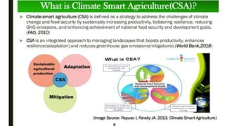 Csa Climate Climatesmartagriculture:buildingresilience to climatechange.pdf