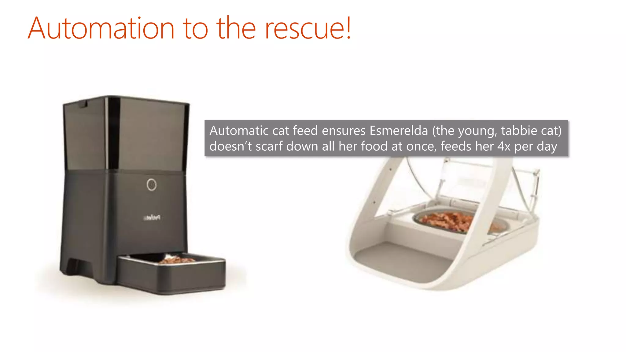 Automatic cat feed ensures Esmerelda (the young, tabbie cat)
doesn’t scarf down all her food at once, feeds her 4x per day
 