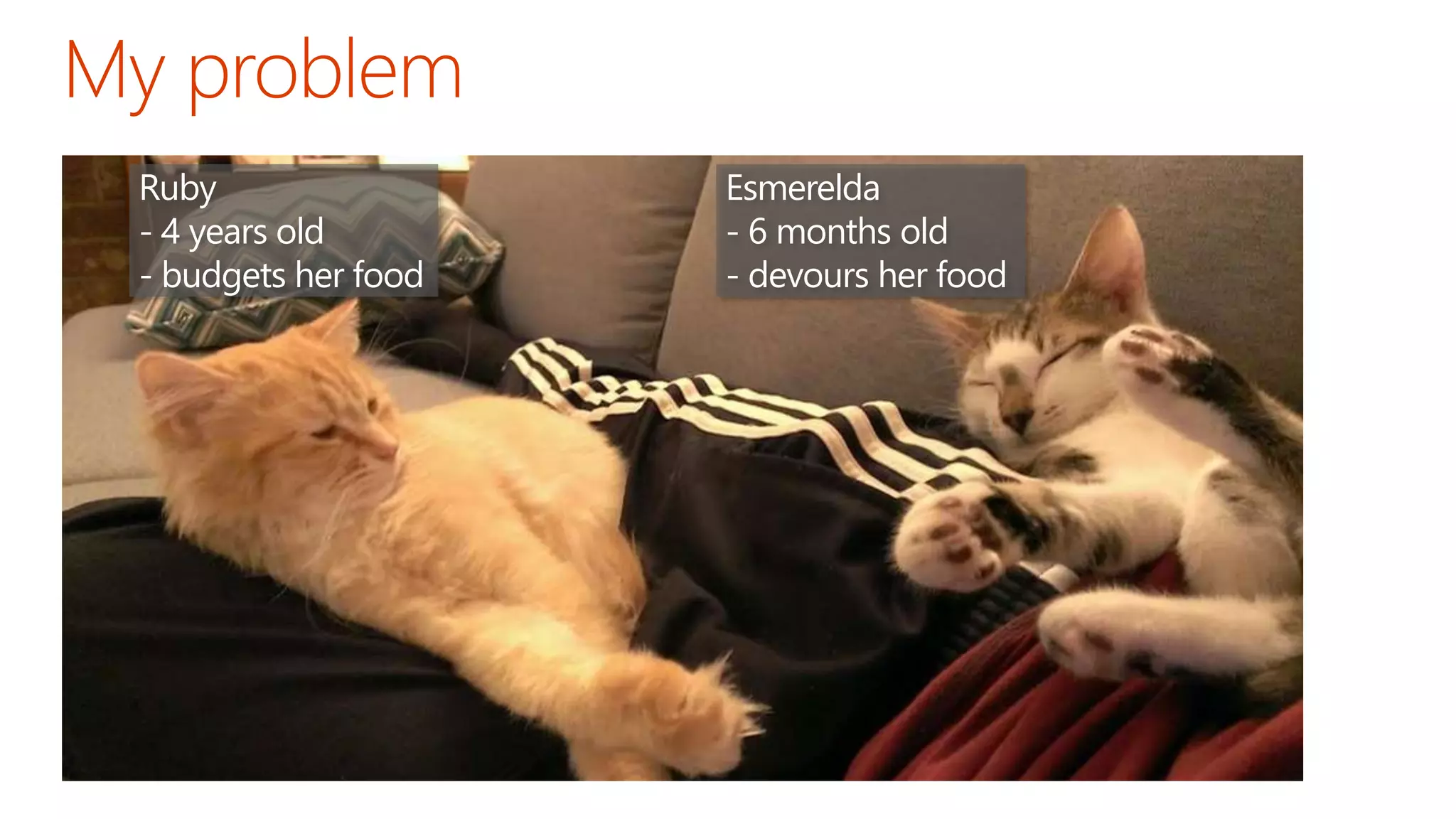 Ruby
- 4 years old
- budgets her food
Esmerelda
- 6 months old
- devours her food
 