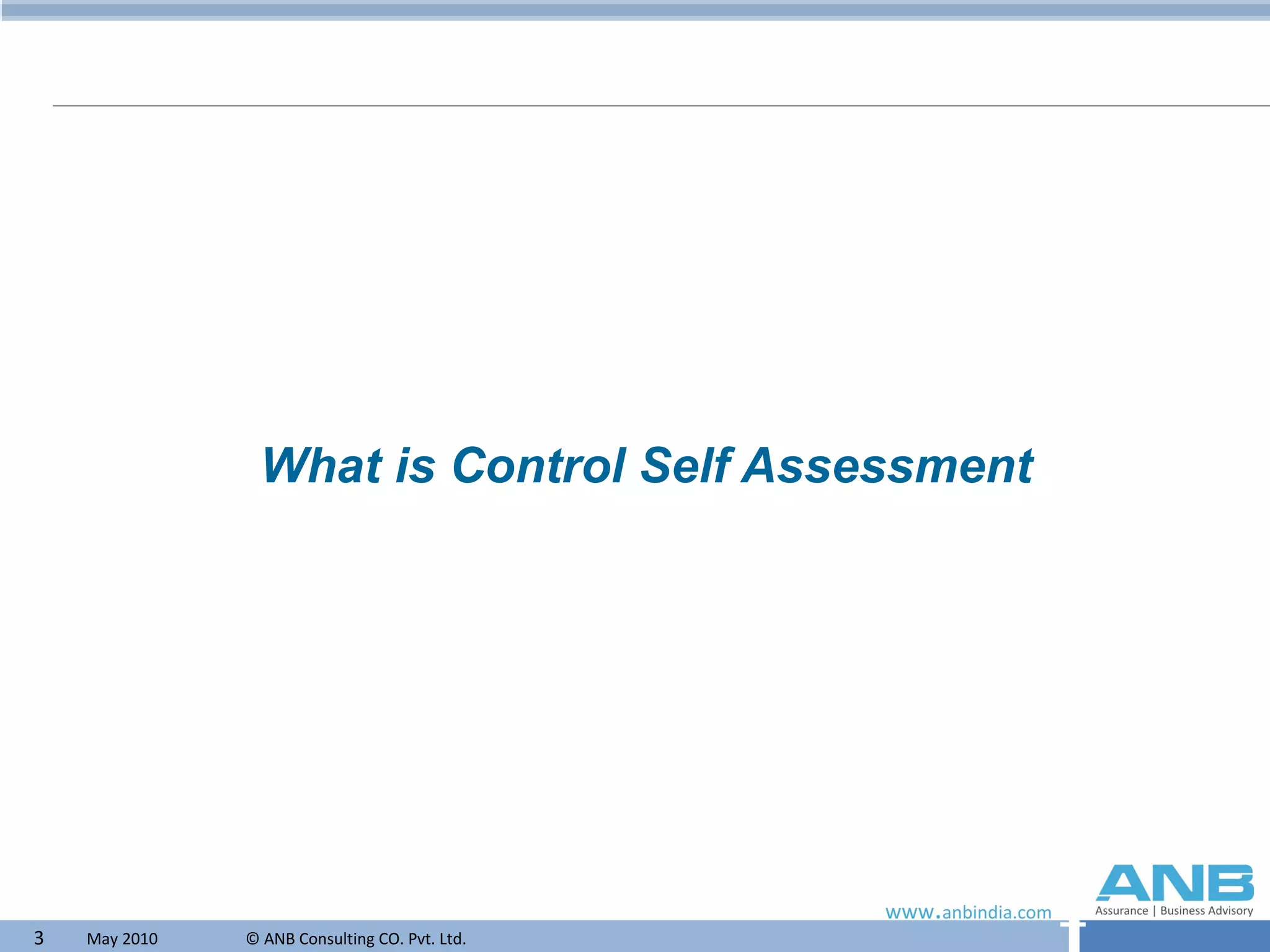 What is Control Self Assessment 