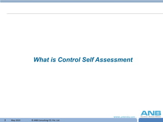 What is Control Self Assessment 