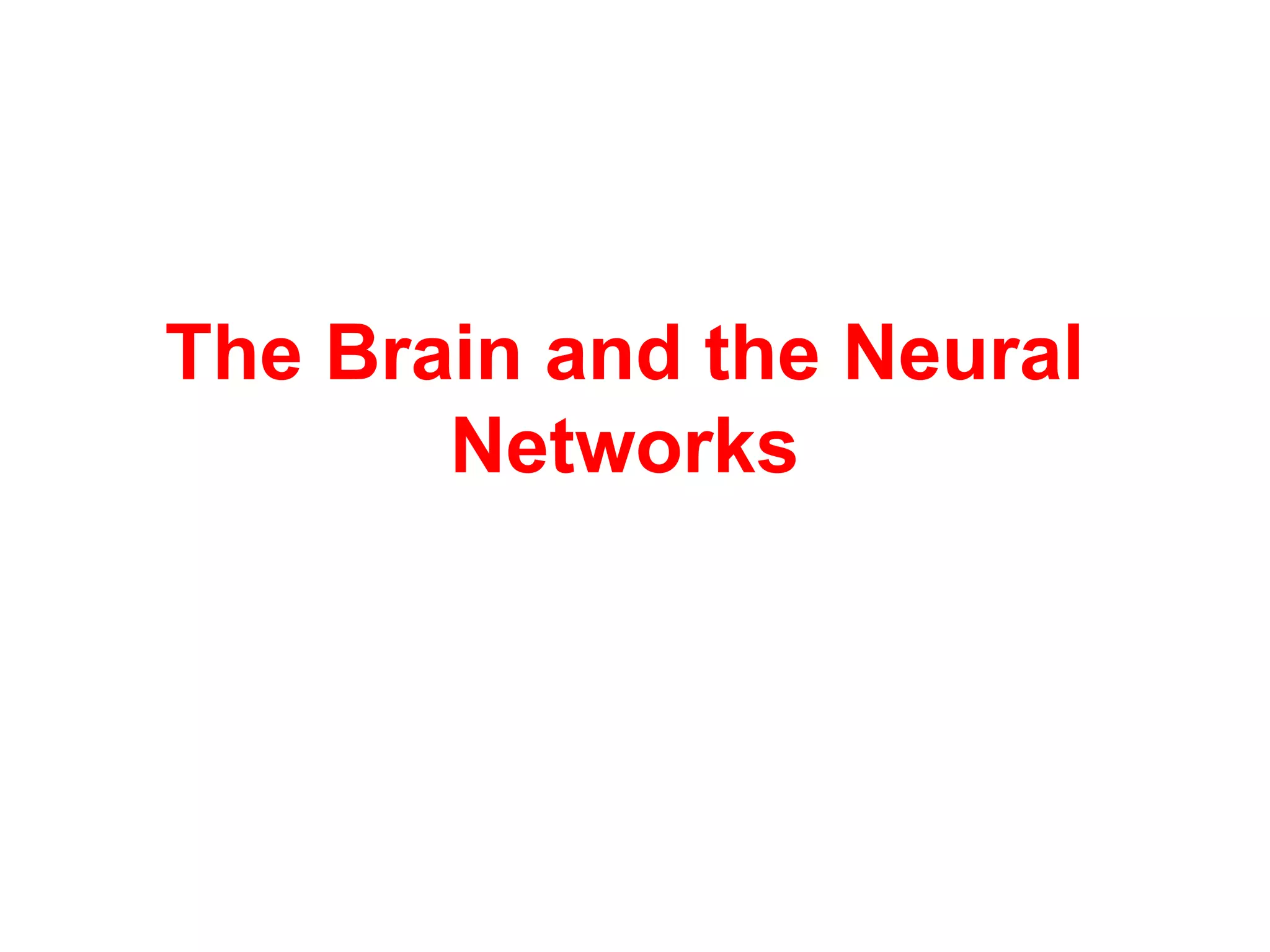 The Brain and the Neural
Networks
 