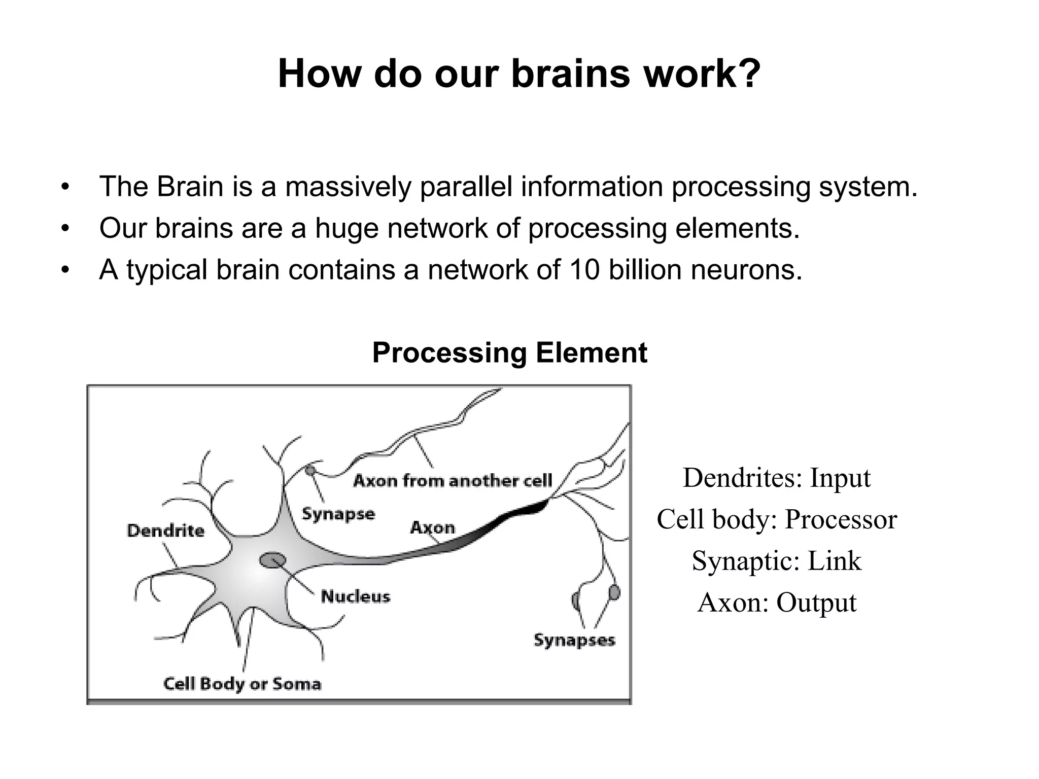 How do our brains work?
• The Brain is a massively parallel information processing system.
• Our brains are a huge network of processing elements.
• A typical brain contains a network of 10 billion neurons.
Processing Element
Dendrites: Input
Cell body: Processor
Synaptic: Link
Axon: Output
 