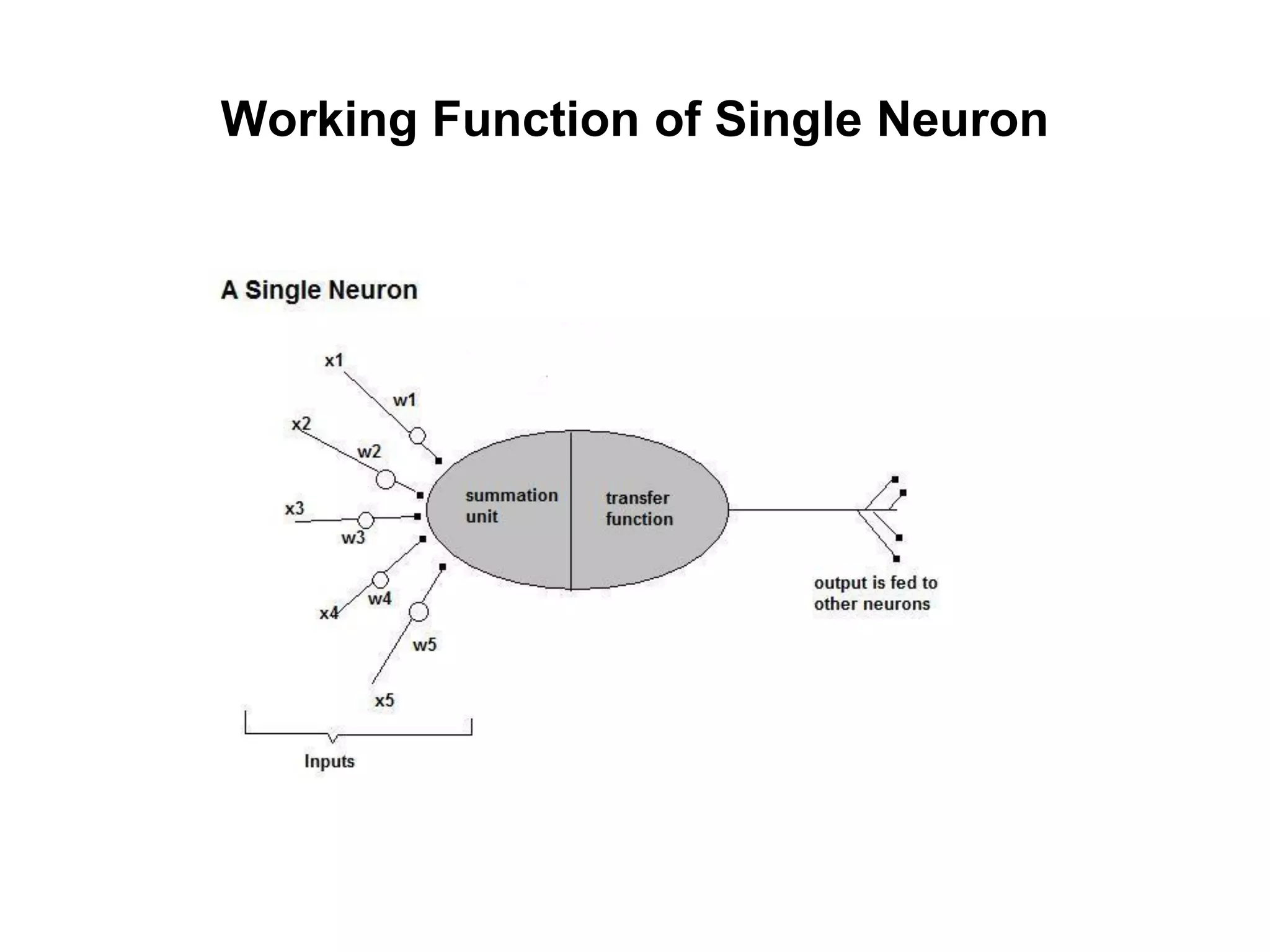 Working Function of Single Neuron
 