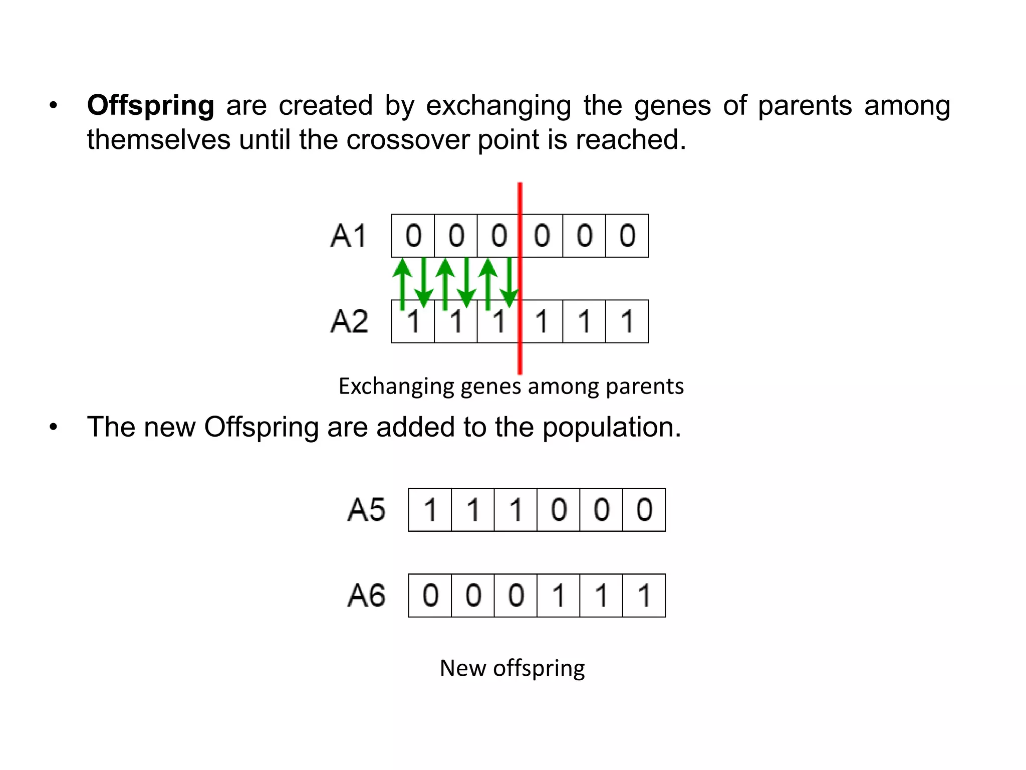 • Offspring are created by exchanging the genes of parents among
themselves until the crossover point is reached.
• The new Offspring are added to the population.
Exchanging genes among parents
New offspring
 