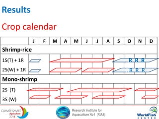 Research Institute for
Aquaculture No1 (RIA1)
J F M A M J J A S O N D
Shrimp-rice
1S(T) + 1R
2S(W) + 1R
Mono-shrimp
2S (T)
3S (W)
RR R R
RR R R
Crop calendar
Results
 