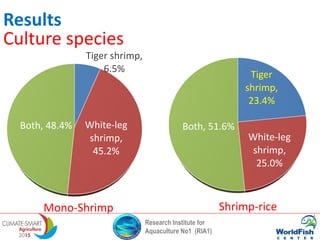 Research Institute for
Aquaculture No1 (RIA1)
Tiger shrimp,
6.5%
White-leg
shrimp,
45.2%
Both, 48.4%
Mono-Shrimp
Tiger
shrimp,
23.4%
White-leg
shrimp,
25.0%
Both, 51.6%
Shrimp-rice
Results
Culture species
 