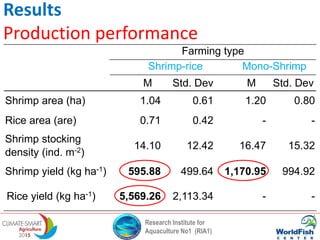 Research Institute for
Aquaculture No1 (RIA1)
Results
Production performance
Farming type
Shrimp-rice Mono-Shrimp
M Std. Dev M Std. Dev
Shrimp area (ha) 1.04 0.61 1.20 0.80
Rice area (are) 0.71 0.42 - -
Shrimp stocking
density (ind. m-2)
14.10 12.42 16.47 15.32
Shrimp yield (kg ha-1) 595.88 499.64 1,170.95 994.92
Rice yield (kg ha-1) 5,569.26 2,113.34 - -
 