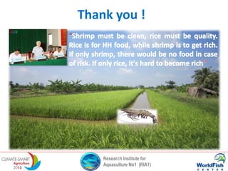 Research Institute for
Aquaculture No1 (RIA1)
Thank you !
 
