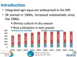 Research Institute for
Aquaculture No1 (RIA1)
• Integrated agri-aqua are widespread in the MD
• SR started in 1960s, increased substantially since
the 1980s.
 Shrimp culture in dry season
 Rice cultivation in wet season
89.50
86.23
118.01
111.80
143.00
130.76
134.31
168.63
160.33
163.57
332.57
381.19
391.22
410.79
413.92
431.59
422.96
415.99
393.66
402.91
0
100
200
300
400
500
600
2001 2002 2003 2004 2005 2006 2007 2008 2009 2010
Shrimp-rice area (ha) Other shrimp area (ha)
Introduction
 