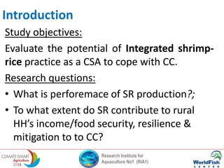 Research Institute for
Aquaculture No1 (RIA1)
Study objectives:
Evaluate the potential of Integrated shrimp-
rice practice as a CSA to cope with CC.
Research questions:
• What is perforemace of SR production?;
• To what extent do SR contribute to rural
HH’s income/food security, resilience &
mitigation to to CC?
Introduction
 