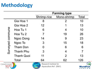 Research Institute for
Aquaculture No1 (RIA1)
Farming type
Shrimp-rice Mono-shrimp Total
Surveyedcommune
Gia Hoa 1 8 2 10
Gia Hoa 2 12 1 13
Hoa Tu 1 6 4 10
Hoa Tu 2 7 19 26
Ngoc Dong 14 9 23
Ngoc To 3 15 18
Tham Don 0 6 6
Thanh Phu 3 4 7
Thanh Quoi 11 2 13
Total 64 62 126
Methodology
 