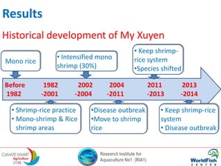 Research Institute for
Aquaculture No1 (RIA1)
Results
Before 1982 2002 2004 2011 2013
1982 -2001 -2004 -2011 -2013 -2014
Mono rice
• Shrimp-rice practice
• Mono-shrimp & Rice
shrimp areas
• Intensified mono
shrimp (30%)
•Disease outbreak
•Move to shrimp
rice
• Keep shrimp-
rice system
•Species shifted
• Keep shrimp-rice
system
• Disease outbreak
Historical development of My Xuyen
 