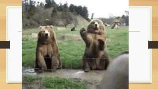 Computer Science ACW Intro to OOP L7.pptx