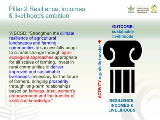 Action Area 3: Progress on the three Climate-Smart Agriculture pillars towards WBCSD Statement of Ambition