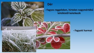 Dér
- Fagyos reggeleken, hirtelen nagymértékű
lehűléstől keletkezik
- Fagyott harmat
 