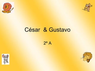 César  & Gustavo 2º A 