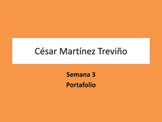 César Martínez Treviño 
Semana 3 
Portafolio 
 