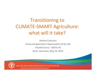 Transitioning to
CLIMATE-SMART Agriculture:
what will it take?
Andrea Cattaneo
Food and Agriculture Organization of the UN...