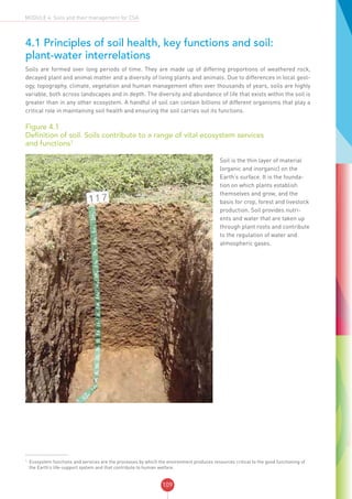 109
MODULE 4: Soils and their management for CSA
4.1 Principles of soil health, key functions and soil:
plant-water interrelations
Soils are formed over long periods of time. They are made up of differing proportions of weathered rock,
decayed plant and animal matter and a diversity of living plants and animals. Due to differences in local geol-
ogy, topography, climate, vegetation and human management often over thousands of years, soils are highly
variable, both across landscapes and in depth. The diversity and abundance of life that exists within the soil is
greater than in any other ecosystem. A handful of soil can contain billions of different organisms that play a
critical role in maintaining soil health and ensuring the soil carries out its functions.
Figure 4.1
Definition of soil. Soils contribute to a range of vital ecosystem services
and functions1
1
Ecosystem functions and services are the processes by which the environment produces resources critical to the good functioning of
the Earth’s life-support system and that contribute to human welfare.
Soil is the thin layer of material
(organic and inorganic) on the
Earth’s surface. It is the founda-
tion on which plants establish
themselves and grow, and the
basis for crop, forest and livestock
production. Soil provides nutri-
ents and water that are taken up
through plant roots and contribute
to the regulation of water and
atmospheric gases.
 