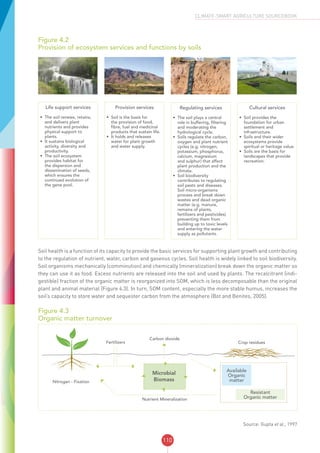 110
CLIMATE-SMART AGRICULTURE SOURCEBOOK
Figure 4.2
Provision of ecosystem services and functions by soils
Life support services
•	 The soil renews, retains,
and delivers plant
nutrients and provides
physical support to
plants.
•	 It sustains biological
activity, diversity and
productivity.
•	 The soil ecosystem
provides habitat for
the dispersion and
dissemination of seeds,
which ensures the
continued evolution of
the gene pool.
Provision services
•	 Soil is the basis for
the provision of food,
fibre, fuel and medicinal
products that sustain life.
•	 It holds and releases
water for plant growth
and water supply.
Regulating services
•	 The soil plays a central
role in buffering, filtering
and moderating the
hydrological cycle.
•	 Soils regulate the carbon,
oxygen and plant nutrient
cycles (e.g. nitrogen,
potassium, phosphorus,
calcium, magnesium
and sulphur) that affect
plant production and the
climate.
•	 Soil biodiversity
contributes to regulating
soil pests and diseases.
Soil micro-organisms
process and break down
wastes and dead organic
matter (e.g. manure,
remains of plants,
fertilizers and pesticides)
preventing them from
building up to toxic levels
and entering the water
supply as pollutants.
Cultural services
•	 Soil provides the
foundation for urban
settlement and
infrastructure.
•	 Soils and their wider
ecosystems provide
spiritual or heritage value.
•	 Soils are the basis for
landscapes that provide
recreation.
Soil health is a function of its capacity to provide the basic services for supporting plant growth and contributing
to the regulation of nutrient, water, carbon and gaseous cycles. Soil health is widely linked to soil biodiversity.
Soil organisms mechanically (comminution) and chemically (mineralization) break down the organic matter so
they can use it as food. Excess nutrients are released into the soil and used by plants. The recalcitrant (indi-
gestible) fraction of the organic matter is reorganized into SOM, which is less decomposable than the original
plant and animal material (Figure 4.3). In turn, SOM content, especially the more stable humus, increases the
soil’s capacity to store water and sequester carbon from the atmosphere (Bot and Benites, 2005).
Figure 4.3
Organic matter turnover
Carbon dioxide
Crop residuesFertilizers
Nitrogen - Fixation
Nutrient Mineralization
Microbial
Biomass
Available
Organic
matter
Resistant
Organic matter
Source: Gupta et al., 1997
 