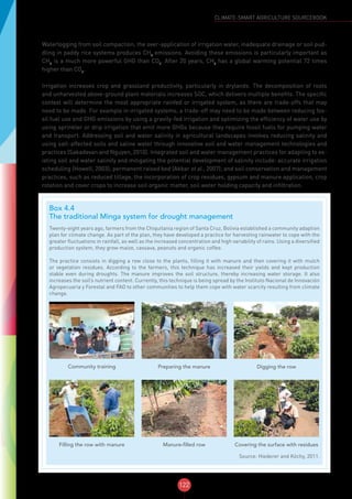 122
CLIMATE-SMART AGRICULTURE SOURCEBOOK
Waterlogging from soil compaction, the over-application of irrigation water, inadequate drainage or soil pud-
dling in paddy rice systems produces CH4
emissions. Avoiding these emissions is particularly important as
CH4
is a much more powerful GHG than CO2
. After 20 years, CH4
has a global warming potential 72 times
higher than CO2
.
Irrigation increases crop and grassland productivity, particularly in drylands. The decomposition of roots
and unharvested above-ground plant materials increases SOC, which delivers multiple benefits. The specific
context will determine the most appropriate rainfed or irrigated system, as there are trade-offs that may
need to be made. For example in irrigated systems, a trade-off may need to be made between reducing fos-
sil fuel use and GHG emissions by using a gravity-fed irrigation and optimizing the efficiency of water use by
using sprinkler or drip irrigation that emit more GHGs because they require fossil fuels for pumping water
and transport. Addressing soil and water salinity in agricultural landscapes involves reducing salinity and
using salt-affected soils and saline water through innovative soil and water management technologies and
practices (Sakadevan and Nguyen, 2010). Integrated soil and water management practices for adapting to ex-
isting soil and water salinity and mitigating the potential development of salinity include: accurate irrigation
scheduling (Howell, 2003); permanent raised bed (Akbar et al., 2007); and soil conservation and management
practices, such as reduced tillage, the incorporation of crop residues, gypsum and manure application, crop
rotation and cover crops to increase soil organic matter, soil water holding capacity and infiltration.
Box 4.4
The traditional Minga system for drought management
Twenty-eight years ago, farmers from the Chiquitania region of Santa Cruz, Bolivia established a community adaption
plan for climate change. As part of the plan, they have developed a practice for harvesting rainwater to cope with the
greater fluctuations in rainfall, as well as the increased concentration and high variability of rains. Using a diversified
production system, they grow maize, cassava, peanuts and organic coffee.
The practice consists in digging a row close to the plants, filling it with manure and then covering it with mulch
or vegetation residues. According to the farmers, this technique has increased their yields and kept production
stable even during droughts. The manure improves the soil structure, thereby increasing water storage. It also
increases the soil’s nutrient content. Currently, this technique is being spread by the Instituto Nacional de Innovación
Agropecuaria y Forestal and FAO to other communities to help them cope with water scarcity resulting from climate
change.
Community training Preparing the manure Digging the row
Filling the row with manure Manure-filled row Covering the surface with residues
Source: Hiederer and Köchy, 2011.
 