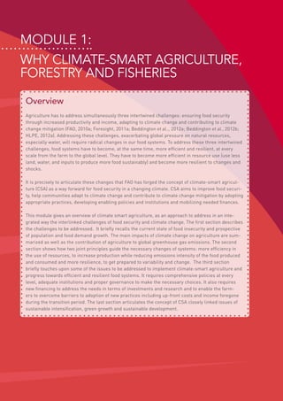 Module 1:
Why climate-smart agriculture,
forestry and fisheries
Overview
Agriculture has to address simultaneously three intertwined challenges: ensuring food security
through increased productivity and income, adapting to climate change and contributing to climate
change mitigation (FAO, 2010a; Foresight, 2011a; Beddington et al.., 2012a; Beddington et al., 2012b;
HLPE, 2012a). Addressing these challenges, exacerbating global pressure on natural resources,
especially water, will require radical changes in our food systems. To address these three intertwined
challenges, food systems have to become, at the same time, more efficient and resilient, at every
scale from the farm to the global level. They have to become more efficient in resource use (use less
land, water, and inputs to produce more food sustainably) and become more resilient to changes and
shocks.
It is precisely to articulate these changes that FAO has forged the concept of climate-smart agricul-
ture (CSA) as a way forward for food security in a changing climate. CSA aims to improve food securi-
ty, help communities adapt to climate change and contribute to climate change mitigation by adopting
appropriate practices, developing enabling policies and institutions and mobilizing needed finances.
This module gives an overview of climate smart agriculture, as an approach to address in an inte-
grated way the interlinked challenges of food security and climate change. The first section describes
the challenges to be addressed. It briefly recalls the current state of food insecurity and prospective
of population and food demand growth. The main impacts of climate change on agriculture are sum-
marized as well as the contribution of agriculture to global greenhouse gas emissions. The second
section shows how two joint principles guide the necessary changes of systems: more efficiency in
the use of resources, to increase production while reducing emissions intensity of the food produced
and consumed and more resilience, to get prepared to variability and change. The third section
briefly touches upon some of the issues to be addressed to implement climate-smart agriculture and
progress towards efficient and resilient food systems. It requires comprehensive policies at every
level, adequate institutions and proper governance to make the necessary choices. It also requires
new financing to address the needs in terms of investments and research and to enable the farm-
ers to overcome barriers to adoption of new practices including up-front costs and income foregone
during the transition period. The last section articulates the concept of CSA closely linked issues of
sustainable intensification, green growth and sustainable development.
 