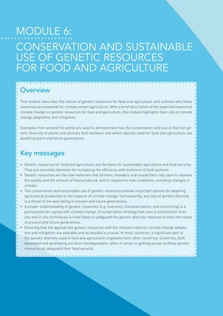 Module 6:
Conservation and sustainable
use of genetic resources
for food and agriculture
Overview
This module describes the nature of genetic resources for food and agriculture and outlines why these
resources are essential for climate-smart agriculture. After a brief description of the expected impacts of
climate change on genetic resources for food and agriculture, the module highlights their role in climate
change adaptation and mitigation.
Examples from around the world are used to demonstrate how the conservation and use of the rich ge-
netic diversity of plants and animals both between and within species used for food and agriculture can
benefit present and future generations.
Key messages
•	 Genetic resources for food and agriculture are the basis for sustainable agriculture and food security.
They are essential elements for increasing the efficiency and resilience of food systems.
•	 Genetic resources are the raw materials that farmers, breeders and researchers rely upon to improve
the quality and the amount of food produced, and to respond to new conditions, including changes in
climate.
•	 The conservation and sustainable use of genetic resources provide important options for adapting
agricultural production to the impacts of climate change. Consequently, any loss of genetic diversity
is a threat to the well-being of present and future generations.
•	 A proper understanding of genetic resources (e.g. inventory, characterization, and monitoring) is a
prerequisite for coping with climate change. A conservation strategy that uses a combination of ex
situ and in situ techniques is most likely to safeguard the genetic diversity required to meet the needs
of present and future generations.
•	 Ensuring that the appropriate genetic resources with the relevant traits for climate change adapta-
tion and mitigation are available and accessible is crucial. In most countries, a significant part of
the genetic diversity used in food and agriculture originates from other countries. Countries, both
developed and developing are thus interdependent, when it comes to getting access to these genetic
resources to safeguard their food security.
 