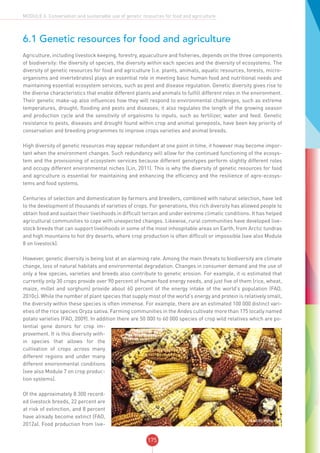 175
MODULE 6: Conservation and sustainable use of genetic resources for food and agriculture
6.1 Genetic resources for food and agriculture
Agriculture, including livestock keeping, forestry, aquaculture and fisheries, depends on the three components
of biodiversity: the diversity of species, the diversity within each species and the diversity of ecosystems. The
diversity of genetic resources for food and agriculture (i.e. plants, animals, aquatic resources, forests, micro-
organisms and invertebrates) plays an essential role in meeting basic human food and nutritional needs and
maintaining essential ecosystem services, such as pest and disease regulation. Genetic diversity gives rise to
the diverse characteristics that enable different plants and animals to fulfill different roles in the environment.
Their genetic make-up also influences how they will respond to environmental challenges, such as extreme
temperatures, drought, flooding and pests and diseases; it also regulates the length of the growing season
and production cycle and the sensitivity of organisms to inputs, such as fertilizer, water and feed. Genetic
resistance to pests, diseases and drought found within crop and animal genepools, have been key priority of
conservation and breeding programmes to improve crops varieties and animal breeds.
High diversity of genetic resources may appear redundant at one point in time, it however may become impor-
tant when the environment changes. Such redundancy will allow for the continued functioning of the ecosys-
tem and the provisioning of ecosystem services because different genotypes perform slightly different roles
and occupy different environmental niches (Lin, 2011). This is why the diversity of genetic resources for food
and agriculture is essential for maintaining and enhancing the efficiency and the resilience of agro-ecosys-
tems and food systems.
Centuries of selection and domestication by farmers and breeders, combined with natural selection, have led
to the development of thousands of varieties of crops. For generations, this rich diversity has allowed people to
obtain food and sustain their livelihoods in difficult terrain and under extreme climatic conditions. It has helped
agricultural communities to cope with unexpected changes. Likewise, rural communities have developed live-
stock breeds that can support livelihoods in some of the most inhospitable areas on Earth, from Arctic tundras
and high mountains to hot dry deserts, where crop production is often difficult or impossible (see also Module
8 on livestock).
However, genetic diversity is being lost at an alarming rate. Among the main threats to biodiversity are climate
change, loss of natural habitats and environmental degradation. Changes in consumer demand and the use of
only a few species, varieties and breeds also contribute to genetic erosion. For example, it is estimated that
currently only 30 crops provide over 90 percent of human food energy needs, and just five of them (rice, wheat,
maize, millet and sorghum) provide about 60 percent of the energy intake of the world’s population (FAO,
2010c). While the number of plant species that supply most of the world’s energy and protein is relatively small,
the diversity within these species is often immense. For example, there are an estimated 100 000 distinct vari-
eties of the rice species Oryza sativa. Farming communities in the Andes cultivate more than 175 locally named
potato varieties (FAO, 2009). In addition there are 50 000 to 60 000 species of crop wild relatives which are po-
tential gene donors for crop im-
provement. It is this diversity with-
in species that allows for the
cultivation of crops across many
different regions and under many
different environmental conditions
(see also Module 7 on crop produc-
tion systems).
Of the approximately 8 300 record-
ed livestock breeds, 22 percent are
at risk of extinction, and 8 percent
have already become extinct (FAO,
2012a). Food production from live-
©FAO/PJ Mahler
 