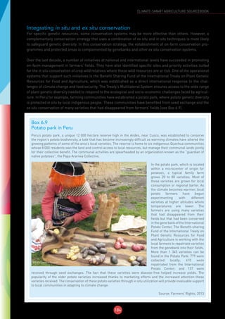 184
CLIMATE-SMART AGRICULTURE SOURCEBOOK
Integrating in situ and ex situ conservation
For specific genetic resources, some conservation systems may be more effective than others. However, a
complementary conservation strategy that uses a combination of ex situ and in situ techniques is most likely
to safeguard genetic diversity. In this conservation strategy, the establishment of on-farm conservation pro-
grammes and protected areas is complemented by genebanks and other ex situ conservation systems.
Over the last decade, a number of initiatives at national and international levels have succeeded in promoting
on-farm management in farmers’ fields. They have also identified specific sites and priority activities suited
for the in situ conservation of crop wild relatives where these wild resources are at risk. One of the operational
systems that support such initiatives is the Benefit Sharing Fund of the International Treaty on Plant Genetic
Resources for Food and Agriculture, which was established as a direct international response to the chal-
lenges of climate change and food security. The Treaty’s Multilateral System ensures access to the wide range
of plant genetic diversity needed to respond to the ecological and socio-economic challenges faced by agricul-
ture. In Peru for example, farming communities have established a potato park, where potato genetic diversity
is protected in situ by local indigenous people. These communities have benefited from seed exchange and the
ex situ conservation of many varieties that had disappeared from farmers’ fields (see Box 6.9).
Box 6.9
Potato park in Peru
Peru’s potato park, a unique 12 000 hectare reserve high in the Andes, near Cusco, was established to conserve
the region’s potato biodiversity, a task that has become increasingly difficult as warming climates have altered the
growing patterns of some of the area’s local varieties. The reserve is home to six indigenous Quechua communities
whose 8 000 residents own the land and control access to local resources, but manage their communal lands jointly
for their collective benefit. The communal activities are spearheaded by an organization known as the “guardian of
native potatoes”, the Papa Arariwa Collective.
©FAO/Sandro Cespoli
In the potato park, which is located
within a microcenter of origin for
potatoes, a typical family farm
grows 20 to 80 varieties. Most of
these varieties are grown for local
consumption or regional barter. As
the climate becomes warmer, local
potato farmers have begun
experimenting with different
varieties at higher altitudes where
temperatures are lower. The
farmers are using many varieties
that had disappeared from their
fields but that had been conserved
in the gene bank of the International
Potato Center. The Benefit-sharing
Fund of the International Treaty on
Plant Genetic Resources for Food
and Agriculture is working with the
local farmers to repatriate varieties
from the genebank into their fields.
More than 1 345 varieties can be
found in the Potato Park: 779 were
collected locally; 410 were
repatriated from the International
Potato Center; and 157 were
received through seed exchanges. The fact that these varieties were disease-free helped increase yields. The
popularity of the older potato varieties increased thanks to marketing efforts and the increased attention these
varieties received. The conservation of these potato varieties through in situ utilization will provide invaluable support
to local communities in adapting to climate change.
Source: Farmers’ Rights, 2013
 