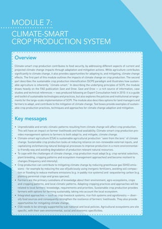 Module 7:
Climate-smart
crop production system
Overview
Climate-smart crop production contributes to food security, by addressing different aspects of current and
projected climate change impacts through adaptation and mitigation actions. While agriculture contributes
significantly to climate change, it also provides opportunities for adapting to, and mitigating, climate change
effects. The first part of this module outlines the impacts of climate change on crop production. The second
part describes the sustainable crop production intensification (SCPI) paradigm and illustrates how sustain-
able agriculture is inherently “climate-smart.” In describing the underlying principles of SCPI, the module
draws heavily on the FAO publication Save and Grow. Save and Grow — a rich source of information, case
studies and technical references — was produced following an Expert Consultation held in 2010: it is a guide
and toolkit of sustainable technologies and practices, but also explores the policies and institutional arrange-
ments for the large-scale implementation of SCPI. The module also describes options for land managers and
farmers to adapt, and contribute to the mitigation of climate change. Text boxes provide examples of sustain-
able crop production practices, techniques and approaches for climate change adaption and mitigation.
Key messages
•	 Unpredictable and erratic climatic patterns resulting from climate change will affect crop production.
This will have an impact on farmer livelihoods and food availability. Climate-smart crop production pro-
vides management options to farmers to both adapt to, and mitigate, climate change.
•	 Climate-smart agriculture (CSA) is sustainable agricultural production “seen from the lens” of climate
change. Sustainable crop production looks at reducing reliance on non-renewable external inputs, and
capitalizing on/enhancing natural biological processes to improve production in a more environmental-
ly-friendly way and avoiding degradation of production relevant natural resources.
•	 To cope with the challenges of climate change, crop production must adapt (e.g. crop varietal selection,
plant breeding, cropping patterns and ecosystem management approaches) and become resilient to
changes (frequency and intensity).
•	 Crop production can contribute to mitigating climate change by reducing greenhouse gas (GHG) emis-
sions - for example by reducing the use of/judiciously using inorganic fertilizers, avoiding soil compac-
tion or flooding to reduce methane emissions (e.g. in paddy rice systems) and sequestering carbon (e.g.
planting perennial crops and grass species).
•	 Farmers are the primary custodians of knowledge about their environment, agro-ecosystems, crops
and cropping patterns, and local climatic patterns. Adapting cropping practices and approaches will be
related to local farmers’ knowledge, requirements and priorities. Sustainable crop production provides
farmers with options for farming sustainably, taking into account the local ecosystem.
•	 Integrated approaches — such as crop-livestock systems, rice-fish systems and agroforestry — diver-
sify food sources and consequently strengthen the resilience of farmers’ livelihoods. They also provide
opportunities for mitigating climate change.
•	 CSA needs to be strongly supported by sub-national and local policies. Agricultural ecosystems are site
specific, with their own environmental, social and economic specificities.
 