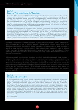 199
MODULE 7: Climate-smart crop production system
Biodiversity is necessary to sustain key functions of the ecosystem (its structure and process) and provide es-
sential ecosystem services. It is an important regulator of agro-ecosystem functions, not only in the strictly
biological sense of its impact on production, but also in satisfying a variety of needs of the farmer and society at
large. In particular, biodiversity increases resilience of agro-ecosystems and is, as such, a means for reducing
risk and adapting to climate change. Agro-ecosystem managers, including farmers, can build upon, enhance
and manage the essential ecosystem services provided by biodiversity as a part of their efforts towards sustain-
able agricultural production.
The conservation and enhancement of biodiversity in cropping systems both above and below ground (e.g.
soil biodiversity – see Box 7.3), and the management of ecosystem services underpin sustainable farming
practices. The composition and diversity of planned biodiversity (e.g. selected crops) influences the nature
of the associated diversity (plant, animal, microbial) and consequently the delivery of ecosystem services. An
ecosystem approach is also a means to integrate planned biodiversity that is maintained with the associated
diversity (e.g. wild pollinators – see Box 7.4). For example, greater on-farm diversity of plants, greater soil
coverage and more perennial cultivation may build resilience throughout the agro-ecosystem (e.g. resistance
to noxious species).
Box 7.2
System of Rice Intensification in Afghanistan
The System of Rice Intensification (SRI) is a set of farming practices developed to increase the productivity of land,
water and other resources (see Annex A.4.1 in Module 4 on soils). SRI is based on the principle of developing healthy,
large and deep-root systems that can better resist drought, waterlogging and rainfall variability, all of which are
potential impacts of climate change. It has proved particularly beneficial to some areas worldwide as it requires
only intermittent water application to create wet and dry soil conditions, instead of continuous flood irrigation. The
average increase in income from SRI in eight countries (Bangladesh, Cambodia, China, India, Indonesia, Nepal, Sri
Lanka and Viet Nam) has been shown to be around 68 percent with yield increases of 17 to 105 percent and decreases
in water requirements between 24 and 50 percent (Africare et al., 2010).
Considering the better growth and performance of rice plants and subsequent increase in yields and productivity
of the rice field with SRI elsewhere, in 2011 Afghanistan introduced SRI as an important practice of sustainable rice
intensification to the farmers in Farmer Field Schools (FFS). With SRI, yields of up to 7 tonnes per hectare were
achieved (PIPM, 2012) – double the farmers’ average yields in the area – using 50 percent less water than used in
conventional rice cultivation practices in Afghanistan. It has also reduced the use of chemical fertilizers, and there
has been no insect or disease infestation at all in SRI fields. The use of SRI is now being extended throughout a
number of provinces in Afghanistan as one way to mitigate the effects of unreliable rainfall.
Box 7.3
Biological nitrogen fixation
In agricultural systems, some types of microbes can carry out biological nitrogen fixation (BNF) as free-living
organisms: heterotrophic and autotrophic bacteria and cyanobacteria. Other micro-organisms can only fix nitrogen
through a symbiotic relationship with plants, mainly legume species. In agricultural areas, about 80 percent of
BNF is achieved by the symbiotic association between legumes and the nodule bacteria, rhizobia. Farmers have
some scope to influence BNF, through legume selection, the proportion of legume and grass seed in forage
mixtures, inoculation with bacteria such as rhizobia, crop nutrition (especially nitrogen and phosphorous), weed,
disease and pest controls, planting time, cropping sequence and intensity, and defoliation frequency of forage
swards. However, some factors, including unfavourable temperatures and droughts, that affect BNF cannot be
controlled. Also some legume species are better at fixing nitrogen than others. In perennial temperate forage
legumes, red clover and lucerne can typically fix 200–400 kg of nitrogen per hectare (whole plant fixation, above
and below ground).
Source: FAO, 2009a
 