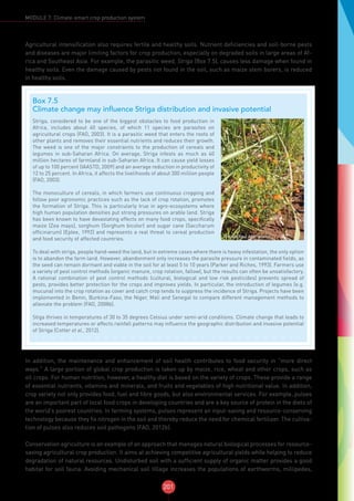 201
MODULE 7: Climate-smart crop production system
Agricultural intensification also requires fertile and healthy soils. Nutrient deficiencies and soil-borne pests
and diseases are major limiting factors for crop production, especially on degraded soils in large areas of Af-
rica and Southeast Asia. For example, the parasitic weed, Striga (Box 7.5), causes less damage when found in
healthy soils. Even the damage caused by pests not found in the soil, such as maize stem borers, is reduced
in healthy soils.
In addition, the maintenance and enhancement of soil health contributes to food security in “more direct
ways.” A large portion of global crop production is taken up by maize, rice, wheat and other crops, such as
oil crops. For human nutrition, however, a healthy diet is based on the variety of crops. These provide a range
of essential nutrients, vitamins and minerals, and fruits and vegetables of high nutritional value. In addition,
crop variety not only provides food, fuel and fibre goods, but also environmental services. For example, pulses
are an important part of local food crops in developing countries and are a key source of protein in the diets of
the world’s poorest countries. In farming systems, pulses represent an input-saving and resource-conserving
technology because they fix nitrogen in the soil and thereby reduce the need for chemical fertilizer. The cultiva-
tion of pulses also reduces soil pathogens (FAO, 2012b).
Conservation agriculture is an example of an approach that manages natural biological processes for resource-
saving agricultural crop production. It aims at achieving competitive agricultural yields while helping to reduce
degradation of natural resources. Undisturbed soil with a sufficient supply of organic matter provides a good
habitat for soil fauna. Avoiding mechanical soil tillage increases the populations of earthworms, millipedes,
Box 7.5
Climate change may influence Striga distribution and invasive potential
© Alain Paul Andrianaivo
Striga, considered to be one of the biggest obstacles to food production in
Africa, includes about 40 species, of which 11 species are parasites on
agricultural crops (FAO, 2003). It is a parasitic weed that enters the roots of
other plants and removes their essential nutrients and reduces their growth.
The weed is one of the major constraints to the production of cereals and
legumes in sub-Saharan Africa. On average, Striga infests as much as 40
million hectares of farmland in sub-Saharan Africa. It can cause yield losses
of up to 100 percent (IAASTD, 2009) and an average reduction in productivity of
12 to 25 percent. In Africa, it affects the livelihoods of about 300 million people
(FAO, 2003).
The monoculture of cereals, in which farmers use continuous cropping and
follow poor agronomic practices such as the lack of crop rotation, promotes
the formation of Striga. This is particularly true in agro-ecosystems where
high human population densities put strong pressures on arable land. Striga
has been known to have devastating effects on many food crops, specifically
maize (Zea mays), sorghum (Sorghum bicolor) and sugar cane (Saccharum
officinarum) (Eplee, 1992) and represents a real threat to cereal production
and food security of affected countries.
To deal with striga, people hand-weed the land, but in extreme cases where there is heavy infestation, the only option
is to abandon the farm land. However, abandonment only increases the parasite pressure in contaminated fields, as
the seed can remain dormant and viable in the soil for at least 5 to 10 years (Parker and Riches, 1993). Farmers use
a variety of pest control methods (organic manure, crop rotation, fallow), but the results can often be unsatisfactory.
A rational combination of pest control methods (cultural, biological and low risk pesticides) prevents spread of
pests, provides better protection for the crops and improves yields. In particular, the introduction of legumes (e.g.
mucuna) into the crop rotation as cover and catch crop tends to suppress the incidence of Striga. Projects have been
implemented in Benin, Burkina-Faso, the Niger, Mali and Senegal to compare different management methods to
alleviate the problem (FAO, 2008b).
Stiga thrives in temperatures of 30 to 35 degrees Celsius under semi-arid conditions. Climate change that leads to
increased temperatures or affects rainfall patterns may influence the geographic distribution and invasive potential
of Striga (Cotter et al., 2012).
 