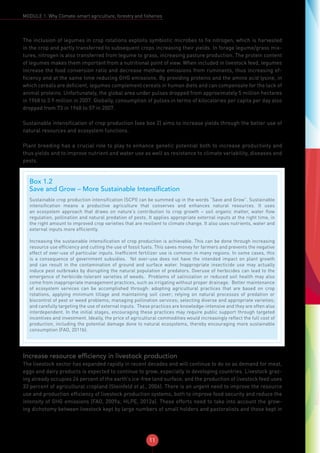 11
MODULE 1: Why Climate-smart agriculture, forestry and fisheries
The inclusion of legumes in crop rotations exploits symbiotic microbes to fix nitrogen, which is harvested
in the crop and partly transferred to subsequent crops increasing their yields. In forage legume/grass mix-
tures, nitrogen is also transferred from legume to grass, increasing pasture production. The protein content
of legumes makes them important from a nutritional point of view. When included in livestock feed, legumes
increase the food conversion ratio and decrease methane emissions from ruminants, thus increasing ef-
ficiency and at the same time reducing GHG emissions. By providing proteins and the amino acid lysine, in
which cereals are deficient, legumes complement cereals in human diets and can compensate for the lack of
animal proteins. Unfortunately, the global area under pulses dropped from approximately 5 million hectares
in 1968 to 3.9 million in 2007. Globally, consumption of pulses in terms of kilocalories per capita per day also
dropped from 73 in 1968 to 57 in 2007.
Sustainable intensification of crop production (see box 2) aims to increase yields through the better use of
natural resources and ecosystem functions.
Plant breeding has a crucial role to play to enhance genetic potential both to increase productivity and
thus yields and to improve nutrient and water use as well as resistance to climate variability, diseases and
pests.
Increase resource efficiency in livestock production
The livestock sector has expanded rapidly in recent decades and will continue to do so as demand for meat,
eggs and dairy products is expected to continue to grow, especially in developing countries. Livestock graz-
ing already occupies 26 percent of the earth’s ice-free land surface, and the production of livestock feed uses
33 percent of agricultural cropland (Steinfeld et al., 2006). There is an urgent need to improve the resource
use and production efficiency of livestock production systems, both to improve food security and reduce the
intensity of GHG emissions (FAO, 2009a; HLPE, 2012a). These efforts need to take into account the grow-
ing dichotomy between livestock kept by large numbers of small holders and pastoralists and those kept in
Box 1.2
Save and Grow – More Sustainable Intensification
Sustainable crop production intensification (SCPI) can be summed up in the words “Save and Grow”. Sustainable
intensification means a productive agriculture that conserves and enhances natural resources. It uses
an ecosystem approach that draws on nature’s contribution to crop growth – soil organic matter, water flow
regulation, pollination and natural predation of pests. It applies appropriate external inputs at the right time, in
the right amount to improved crop varieties that are resilient to climate change. It also uses nutrients, water and
external inputs more efficiently.
Increasing the sustainable intensification of crop production is achievable. This can be done through increasing
resource use efficiency and cutting the use of fossil fuels. This saves money for farmers and prevents the negative
effect of over-use of particular inputs. Inefficient fertilizer use is common in many regions. In some cases, this
is a consequence of government subsidies. Yet over-use does not have the intended impact on plant growth
and can result in the contamination of ground and surface water. Inappropriate insecticide use may actually
induce pest outbreaks by disrupting the natural population of predators. Overuse of herbicides can lead to the
emergence of herbicide-tolerant varieties of weeds. Problems of salinization or reduced soil health may also
come from inappropriate management practices, such as irrigating without proper drainage. Better maintenance
of ecosystem services can be accomplished through: adopting agricultural practices that are based on crop
rotations, applying minimum tillage and maintaining soil cover; relying on natural processes of predation or
biocontrol of pest or weed problems; managing pollination services; selecting diverse and appropriate varieties;
and carefully targeting the use of external inputs. These practices are knowledge-intensive and they are often also
interdependent. In the initial stages, encouraging these practices may require public support through targeted
incentives and investment. Ideally, the price of agricultural commodities would increasingly reflect the full cost of
production, including the potential damage done to natural ecosystems, thereby encouraging more sustainable
consumption (FAO, 2011b).
 