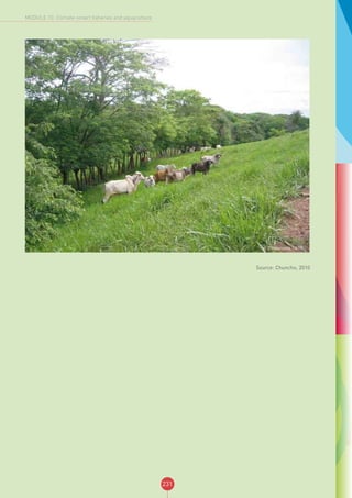 231
MODULE 10: Climate-smart fisheries and aquaculture
Source: Chuncho, 2010
© C.Villanueva, CATIE
 