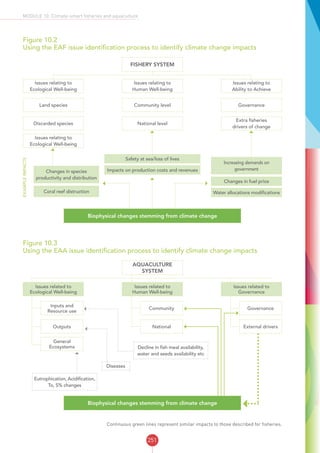 251
MODULE 10: Climate-smart fisheries and aquaculture
Figure 10.2
Using the EAF issue identification process to identify climate change impacts
EXAMPLEIMPACTS
FISHERY SYSTEM
Issues relating to
Human Well-being
Community level
National level
Safety at sea/loss of lives
Changes in fuel price
Increasing demands on
governmentChanges in species
productivity and distribution
Impacts on production costs and revenues
Water allocations modificationsCoral reef distruction
Issues relating to
Ecological Well-being
Land species
Discarded species
Issues relating to
Ecological Well-being
Issues relating to
Ability to Achieve
Governance
Extra fisheries
drivers of change
Biophysical changes stemming from climate change
Figure 10.3
Using the EAA issue identification process to identify climate change impacts
AQUACULTURE
SYSTEM
Issues related to
Human Well-being
Community
National
Diseases
Eutrophication, Acidification,
To, S% changes
Decline in fish meal availability,
water and seeds availability etc
Issues related to
Ecological Well-being
Inputs and
Resource use
Outputs
General
Ecosystems
Issues related to
Governance
Governance
External drivers
Biophysical changes stemming from climate change
Continuous green lines represent similar impacts to those described for fisheries.
 