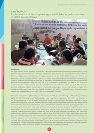 62
CLIMATE-SMART AGRICULTURE SOURCEBOOK
Case Study 2.3
Implementation of the ecosystem approach to fisheries and aquaculture
in Estero Real, Nicaragua
©Doris Soto
Introduction
The EAFA contains holistic strategies for managing capture fisheries and aquaculture that includes ecological, socio-
economic and governance dimensions. The approach facilitates the sustainable use of natural resources and integrates
fisheries and aquaculture with other uses of coastal ecosystems (see also Module 10 on climate-smart fisheries and
aquaculture). These strategies build on three core principles: fisheries and aquaculture should be developed in the
context of ecosystem functions and services with no degradation of these beyond their resilience capacity; fisheries and
aquaculture should improve human well-being and equity for all relevant stakeholders; and fisheries and aquaculture
should be developed in the context of (and integrated with) other relevant sectors, policies and goals. Other important
principles guiding the EAFA are the participation of stakeholders all along the development and implementation of the
management plans and the use of the best available information. The EAFA is considered a relevant strategy to enhance
adoption and implementation of the Code of Conduct for Responsible Fisheries.
The tropical mangrove estuary Estero Real is located along the north Pacific coast of Nicaragua and forms the southernmost
part of the Gulf of Fonseca. Despite the fact that the estuary was declared a protected site in 1983 and recognized by
the Ramsar Convention in 2003 as area of international interest, it is at high risk of degradation partly due to shrimp
fisheries and aquaculture. The Estero Real is also home to some of the country’s poorest communities who depend on local
natural resources for survival and livelihoods. Local communities rely on fishery resources, mangrove products such as
lumber, mangrove clearance for small-scale agriculture and aquaculture activities. Shrimp farming, which has increased
significantly in the area, generates livelihood opportunities but also creates social conflicts and raises environmental
concerns. Large-scale shrimp farming coexists with small-scale farmers organized in cooperatives and small-scale
fishers, some of whom use unsustainable fishing practices, such as the use of fishing bags in the mangrove area. These
bags collect not only small shrimp but also many kinds of fish larvae, which are mostly discarded. The estuary is also coping
with other significant environmental impacts, mainly as a result of agricultural practices, urban waste and deforestation in
the higher parts of the basin. Climate variability and climate change are putting additional pressures on the estuary. Heavy
sedimentation from poor watershed management, the increased use of pesticides and the loss of mangrove forests are
also threatening coastal aquaculture, fisheries and biodiversity in the mangrove ecosystem.
 