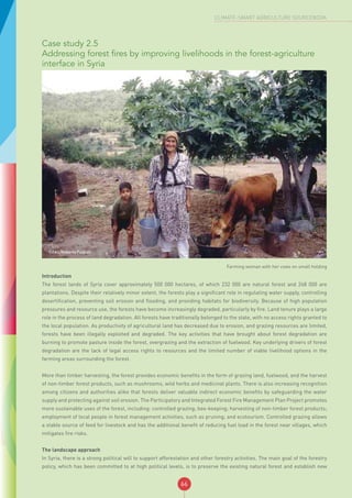 66
CLIMATE-SMART AGRICULTURE SOURCEBOOK
Case study 2.5
Addressing forest fires by improving livelihoods in the forest-agriculture
interface in Syria
©FAO/Roberto Faidutti
Farming woman with her cows on small holding
Introduction
The forest lands of Syria cover approximately 500 000 hectares, of which 232 000 are natural forest and 268 000 are
plantations. Despite their relatively minor extent, the forests play a significant role in regulating water supply, controlling
desertification, preventing soil erosion and flooding, and providing habitats for biodiversity. Because of high population
pressures and resource use, the forests have become increasingly degraded, particularly by fire. Land tenure plays a large
role in the process of land degradation. All forests have traditionally belonged to the state, with no access rights granted to
the local population. As productivity of agricultural land has decreased due to erosion, and grazing resources are limited,
forests have been illegally exploited and degraded. The key activities that have brought about forest degradation are
burning to promote pasture inside the forest, overgrazing and the extraction of fuelwood. Key underlying drivers of forest
degradation are the lack of legal access rights to resources and the limited number of viable livelihood options in the
farming areas surrounding the forest.
More than timber harvesting, the forest provides economic benefits in the form of grazing land, fuelwood, and the harvest
of non-timber forest products, such as mushrooms, wild herbs and medicinal plants. There is also increasing recognition
among citizens and authorities alike that forests deliver valuable indirect economic benefits by safeguarding the water
supply and protecting against soil erosion. The Participatory and Integrated Forest Fire Management Plan Project promotes
more sustainable uses of the forest, including: controlled grazing; bee-keeping; harvesting of non-timber forest products;
employment of local people in forest management activities, such as pruning; and ecotourism. Controlled grazing allows
a stable source of feed for livestock and has the additional benefit of reducing fuel load in the forest near villages, which
mitigates fire risks.
The landscape approach
In Syria, there is a strong political will to support afforestation and other forestry activities. The main goal of the forestry
policy, which has been committed to at high political levels, is to preserve the existing natural forest and establish new
 